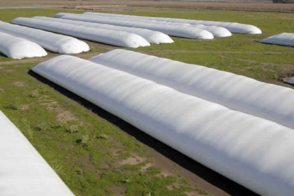 Exportadores vendieron 326.021 toneladas de soja