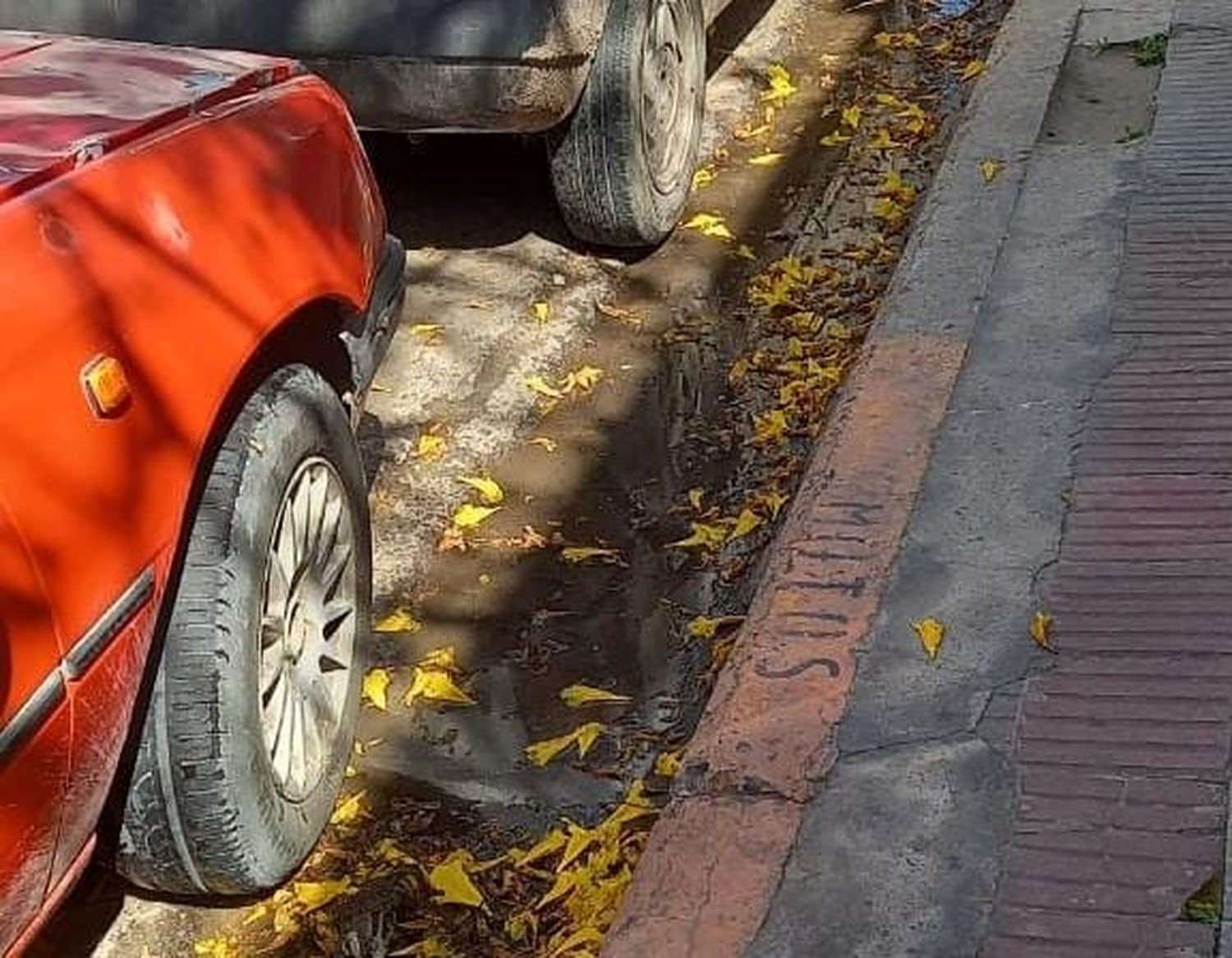 Olor a podrido en pleno microcentro: Vecinos y comerciantes apuntan contra una vivienda de familias de origen extranjero