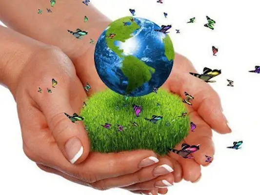 Educación Ambiental será presentado en una feria de México