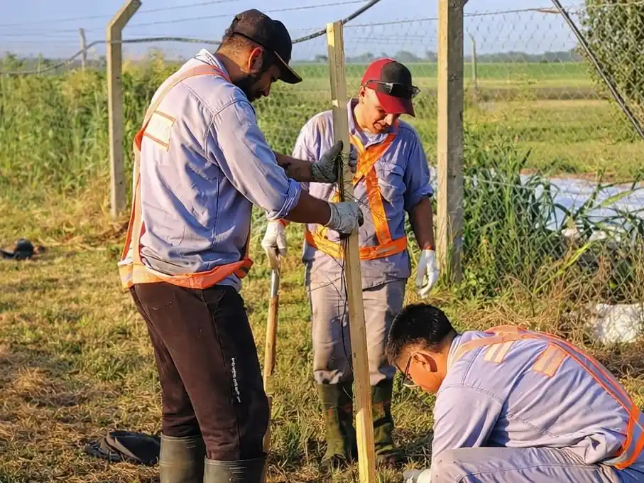 Tareas en el marco del Plan de Forestación en el Aéro Club