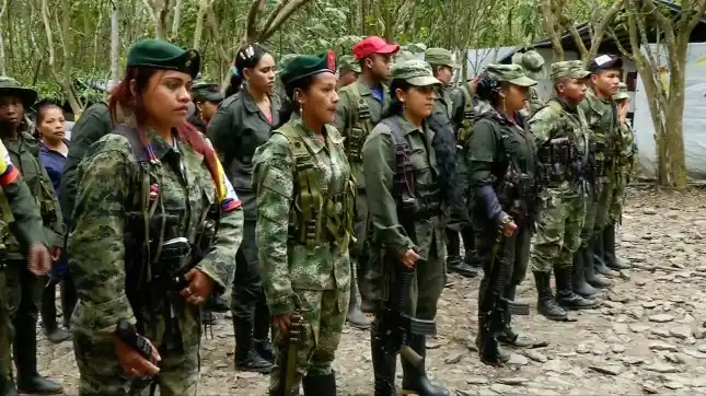 Las FARC comenzaron a entregar las armas      