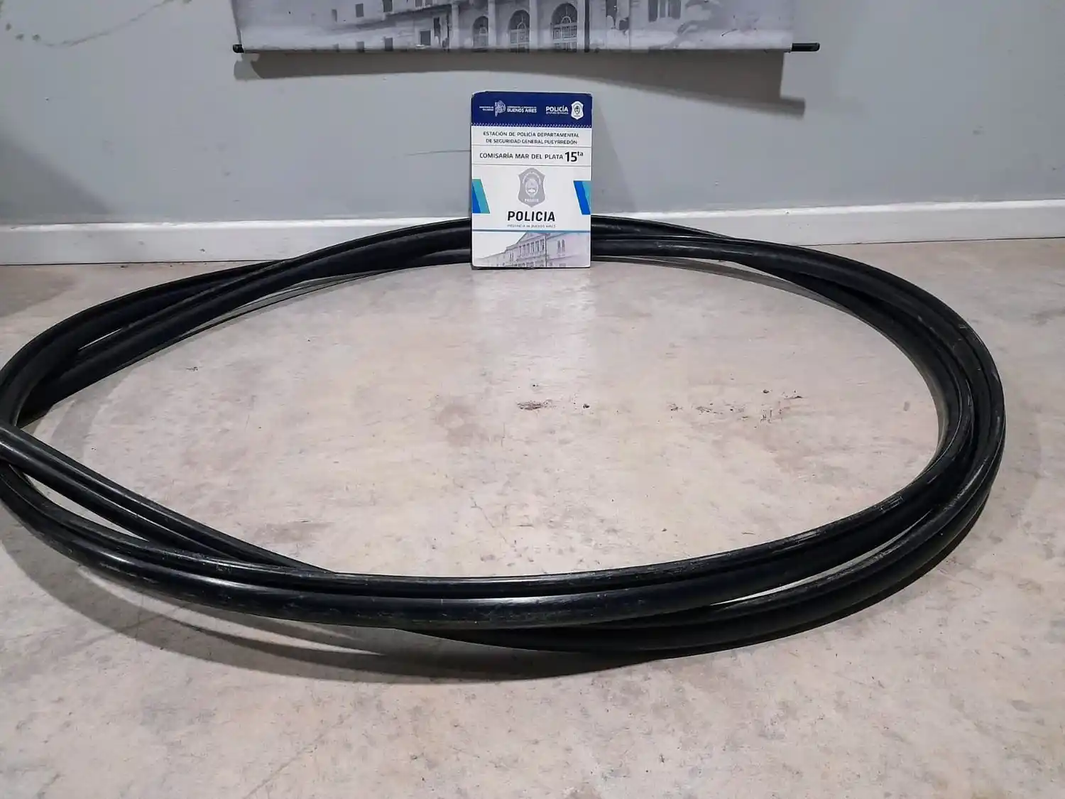 El malviviente fue aprehendido con 7 metros de fibra óptica