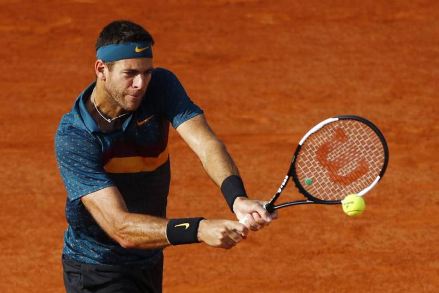 Del Potro se despidió de Roland Garros