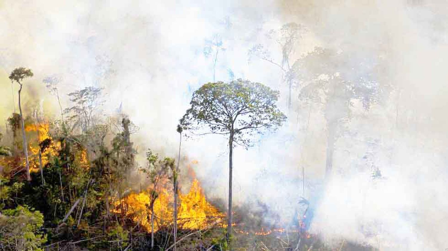 Brasil sufre “terrorismo climático” con incendios intencionales