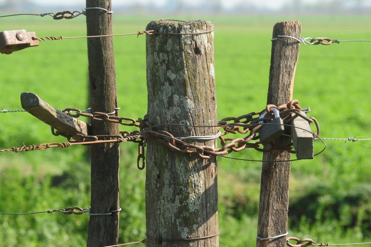 Los delitos rurales se pueden denunciar de manera virtual