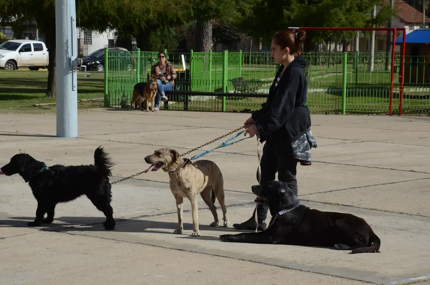 Pueblo Belgrano concretará la segunda etapa de la campaña de vacunación antirrábica