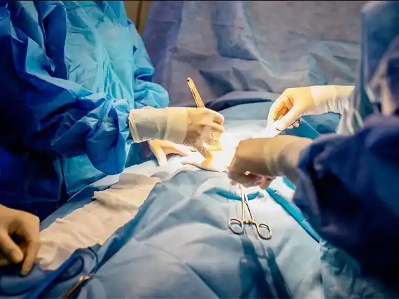 Entre Ríos ya superó la cantidad de operativos de donación de órganos y tejidos realizados en 2024