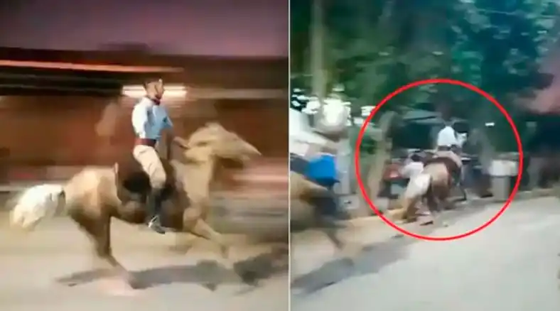 Una discusión entre gauchos terminó a los rebencazos en un desfile tradicionalista