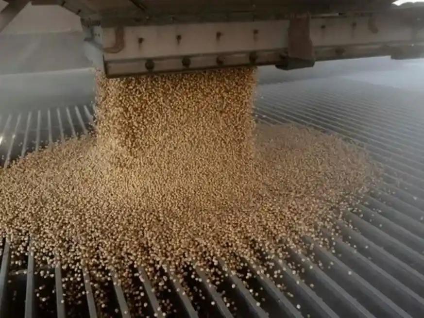 El volumen de soja procesada alcanzó las 34,75 Mt, Credito: REUTERS/Dane Rhys/Archivo