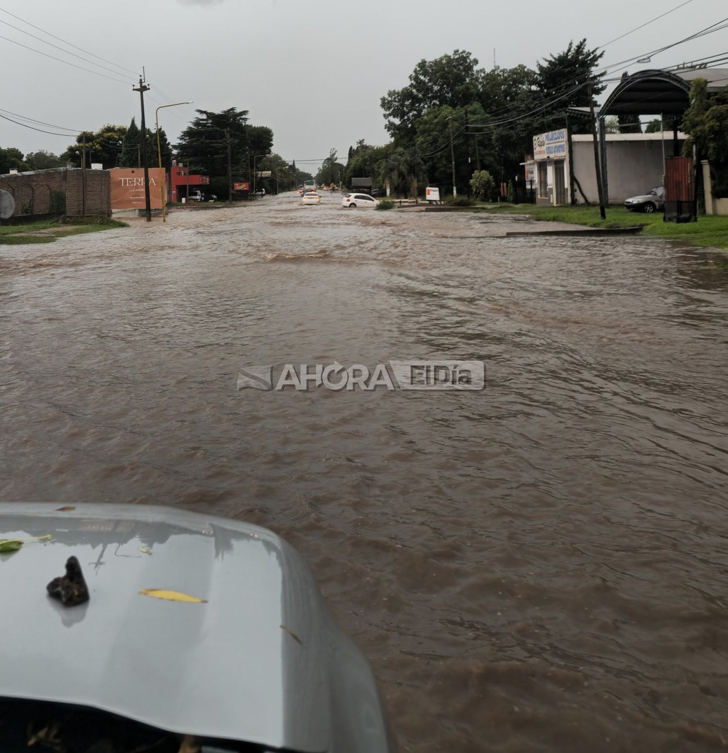 Diluvió en Gualeguaychú: se registraron daños por los vientos, inundaciones y cortes de luz en la ciudad y Pueblo Belgrano