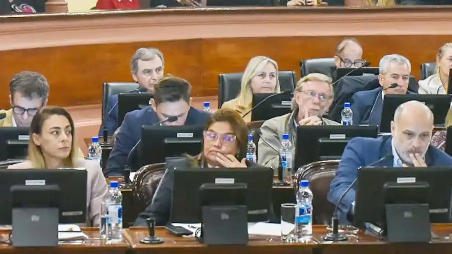 Las denuncias contra la vocal Susana Medina no se trataron en el recinto por decisión del oficialismo