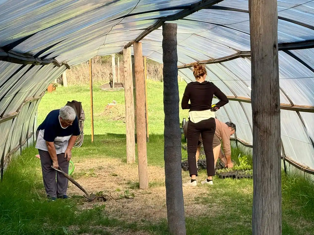 Curso. Busca promover instancias de capacitación orientadas al desarrollo local