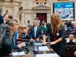 Florencia Carignano desconectó los cables de los taquígrafos en pleno debate en Diputados