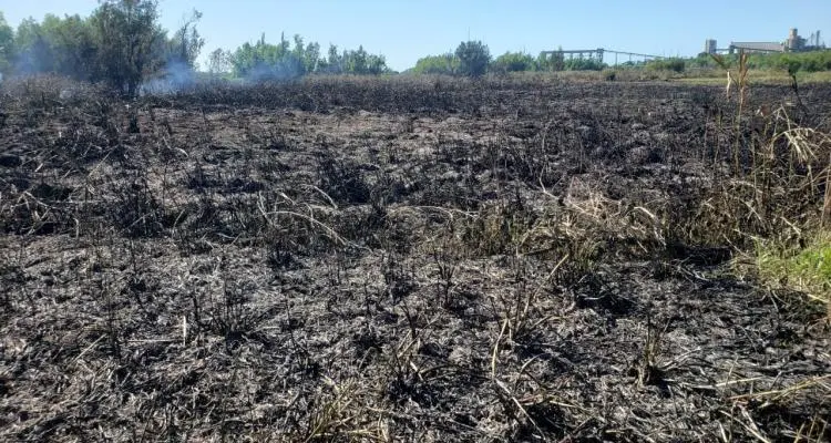 Incendio en el Paseo Público 2: así quedó la zona que ardió en llamas este sábado