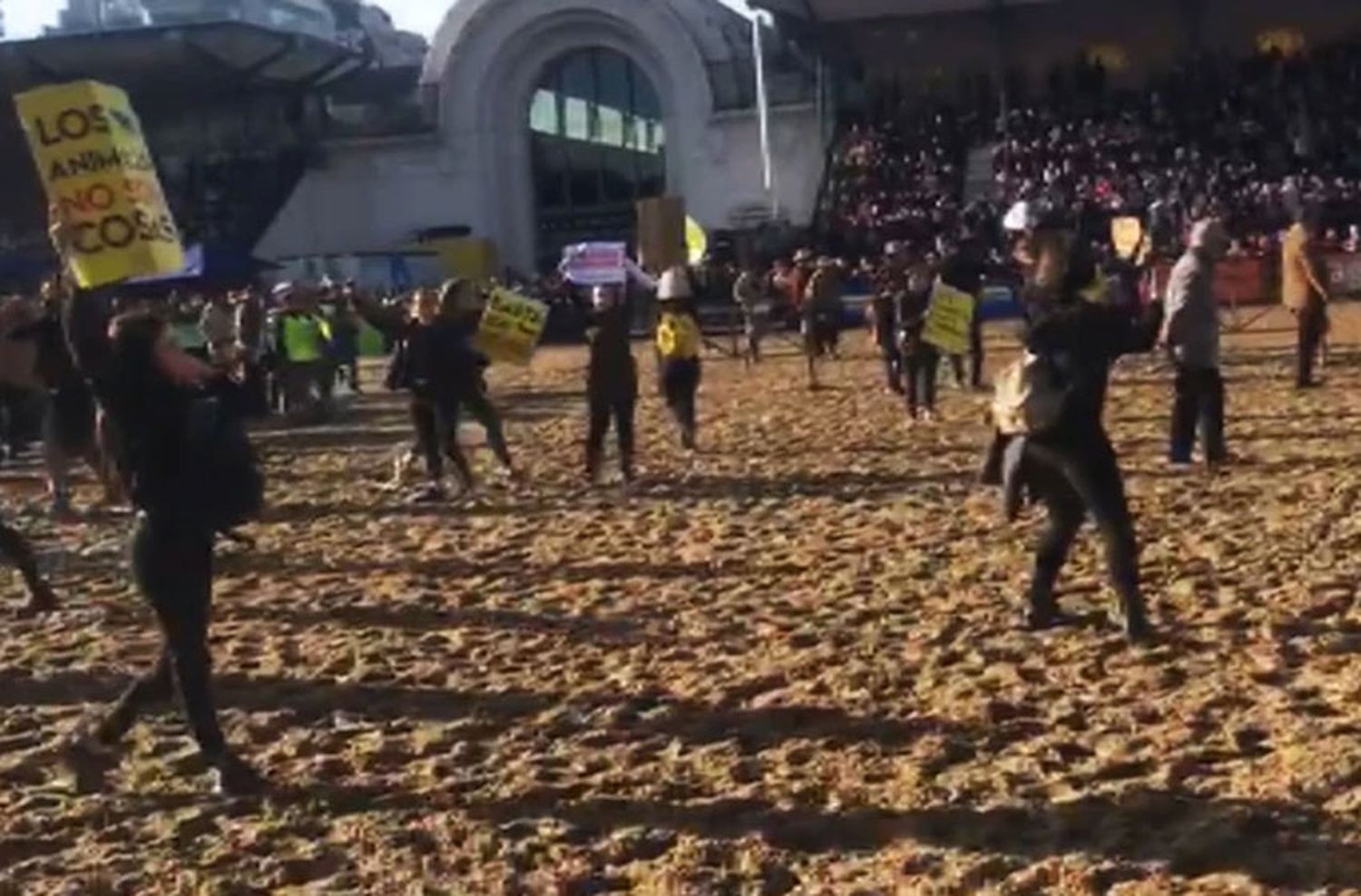 Veganos invadieron la pista de la Rural y gauchos los ahuyentaron a "caballazos"