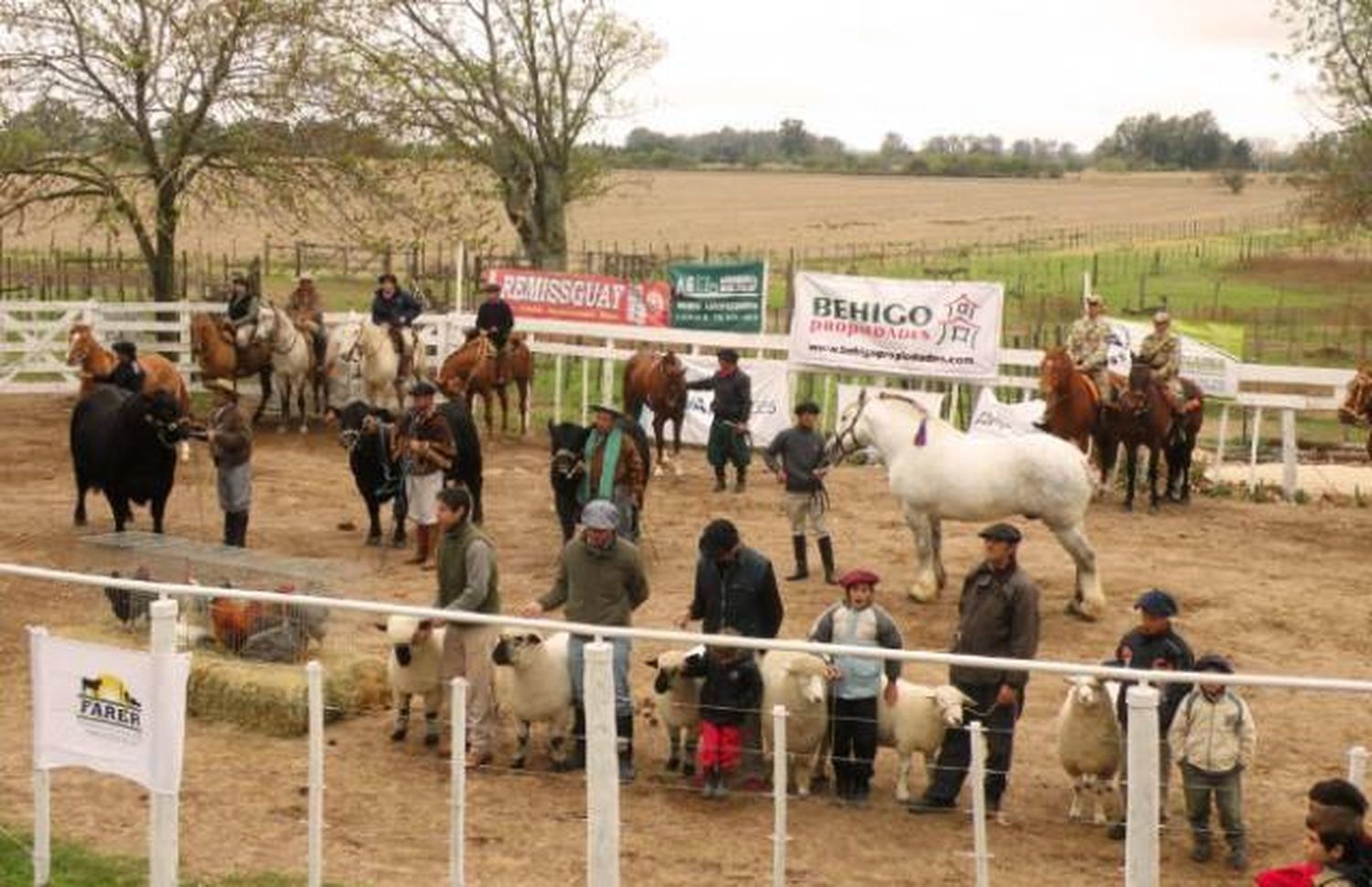 Comienza la nueva edición de la “Exposición Rural”