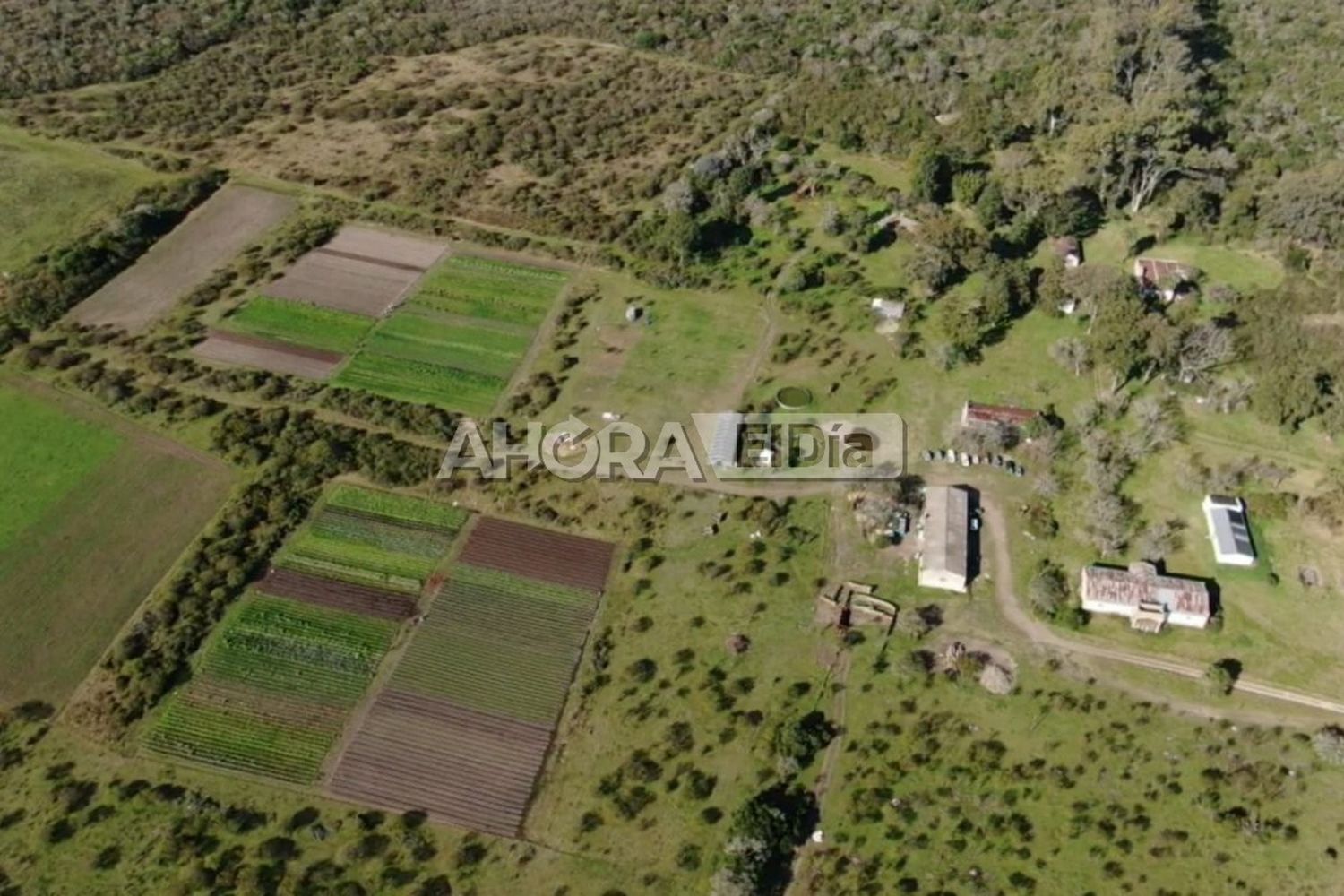 Mattiauda pidió informes por las viviendas que se construirían en la reserva Las Piedras