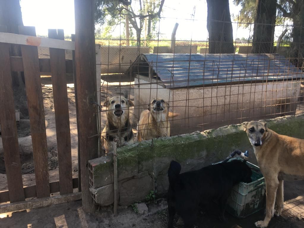 La primera visita abierta del año tendrá lugar este sábado 5 de abril.