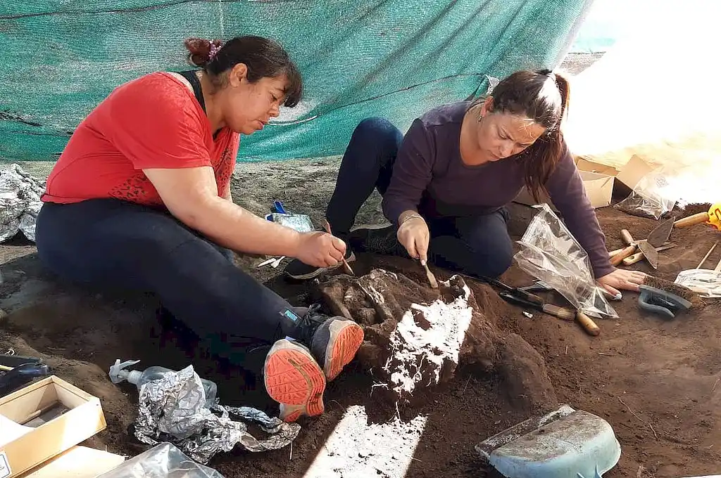 Hallaron más restos humanos en el yacimiento arqueológico de la ciudad de Santo Tomé