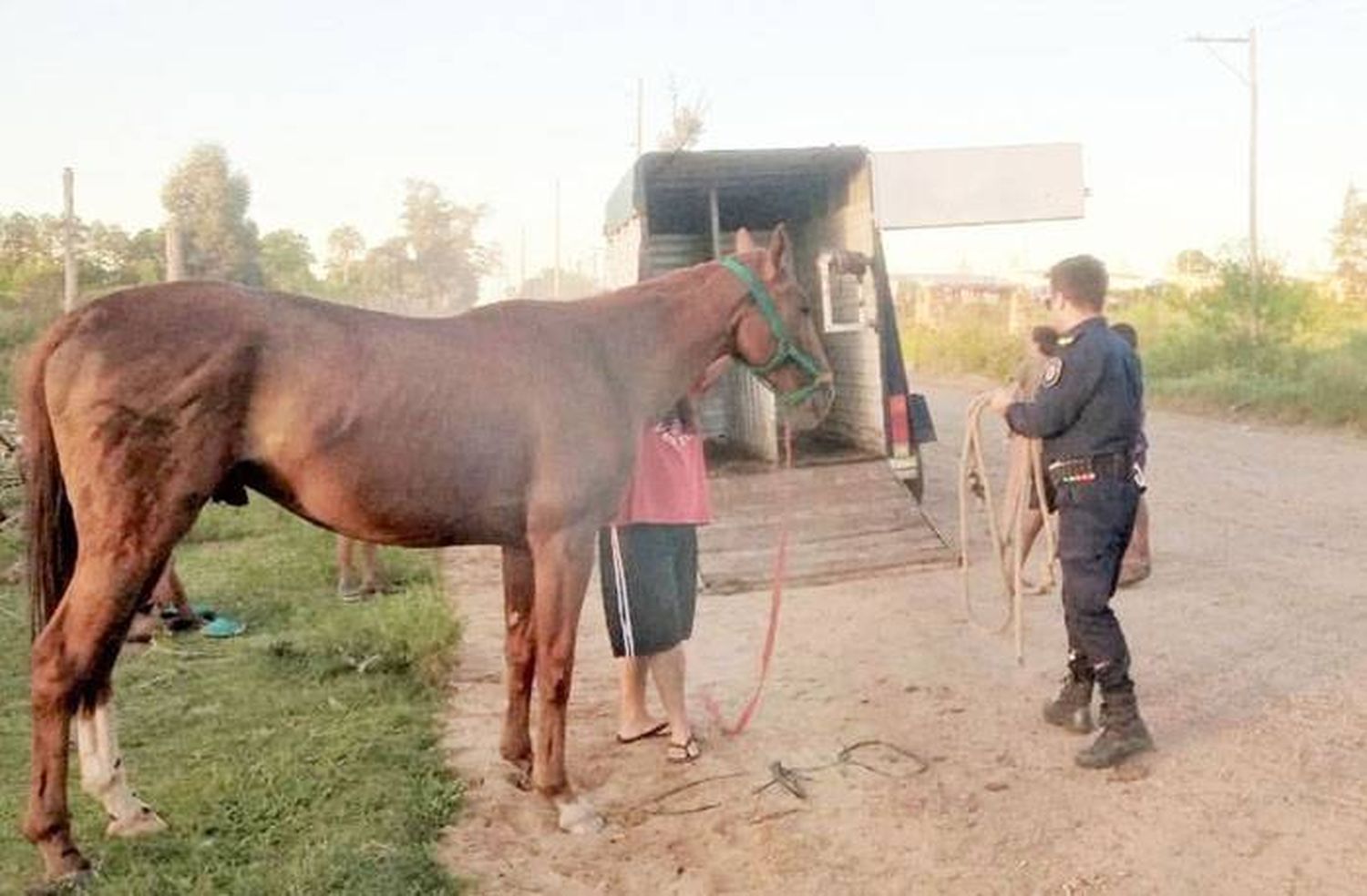 El Centro de Cuidados Ecuestre sigue trabajando para rescatar a los equinos en situación  de maltrato