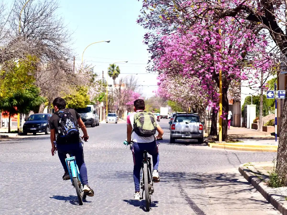 El mérito de estudiar