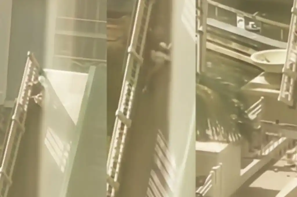 Una mujer cayó del puente