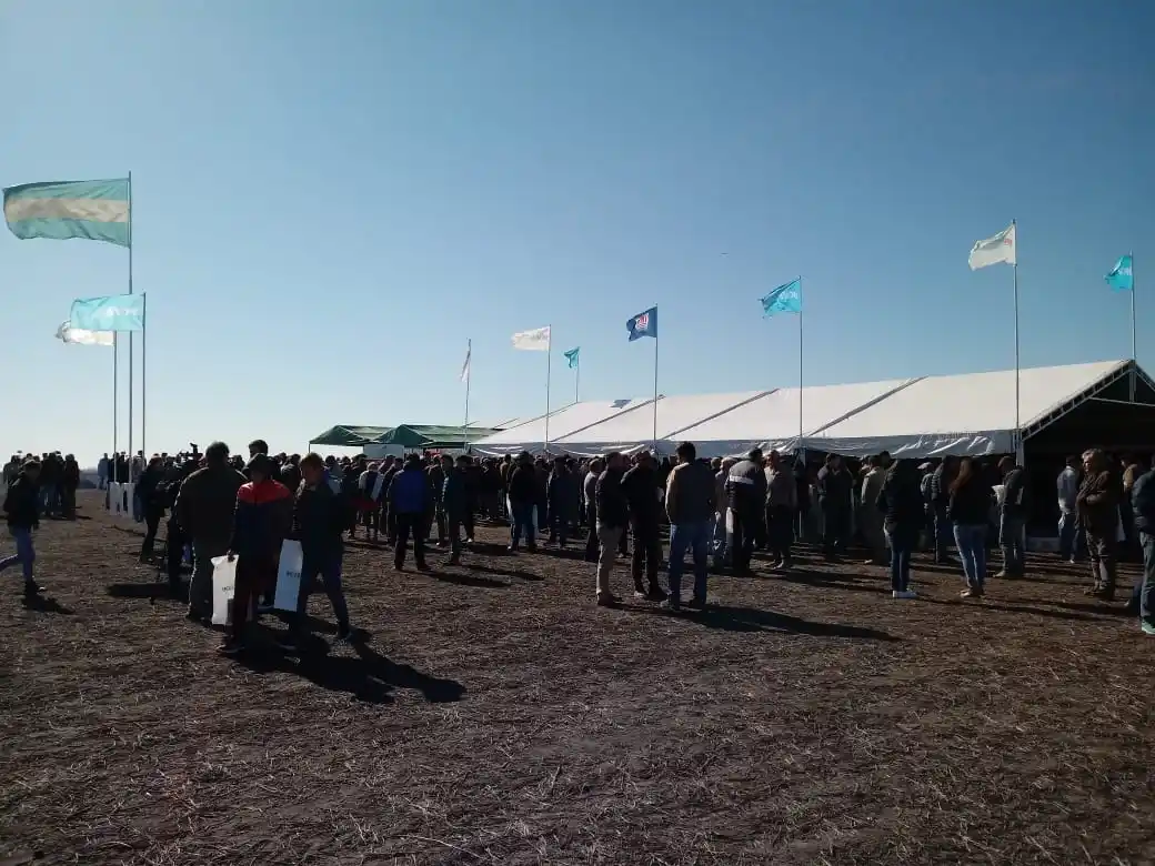 Una exitosa jornada de campo demostró el impulso de la ganadería entrerriana
