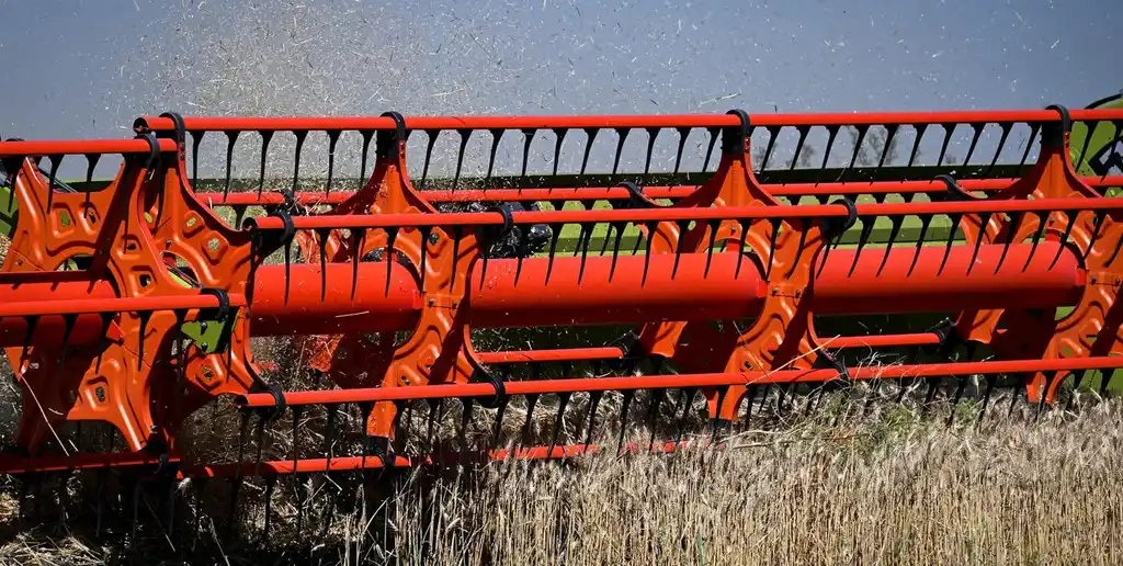 El sector agroexportador espera que la medida impulse la siembra de trigo y cebada en 2026.