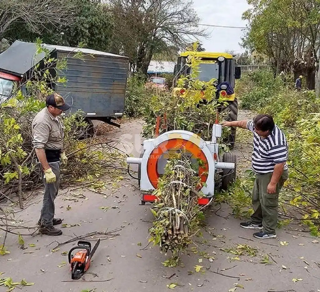 El Municipio sumará nuevo equipamiento para poda y recolección de residuos mayores 