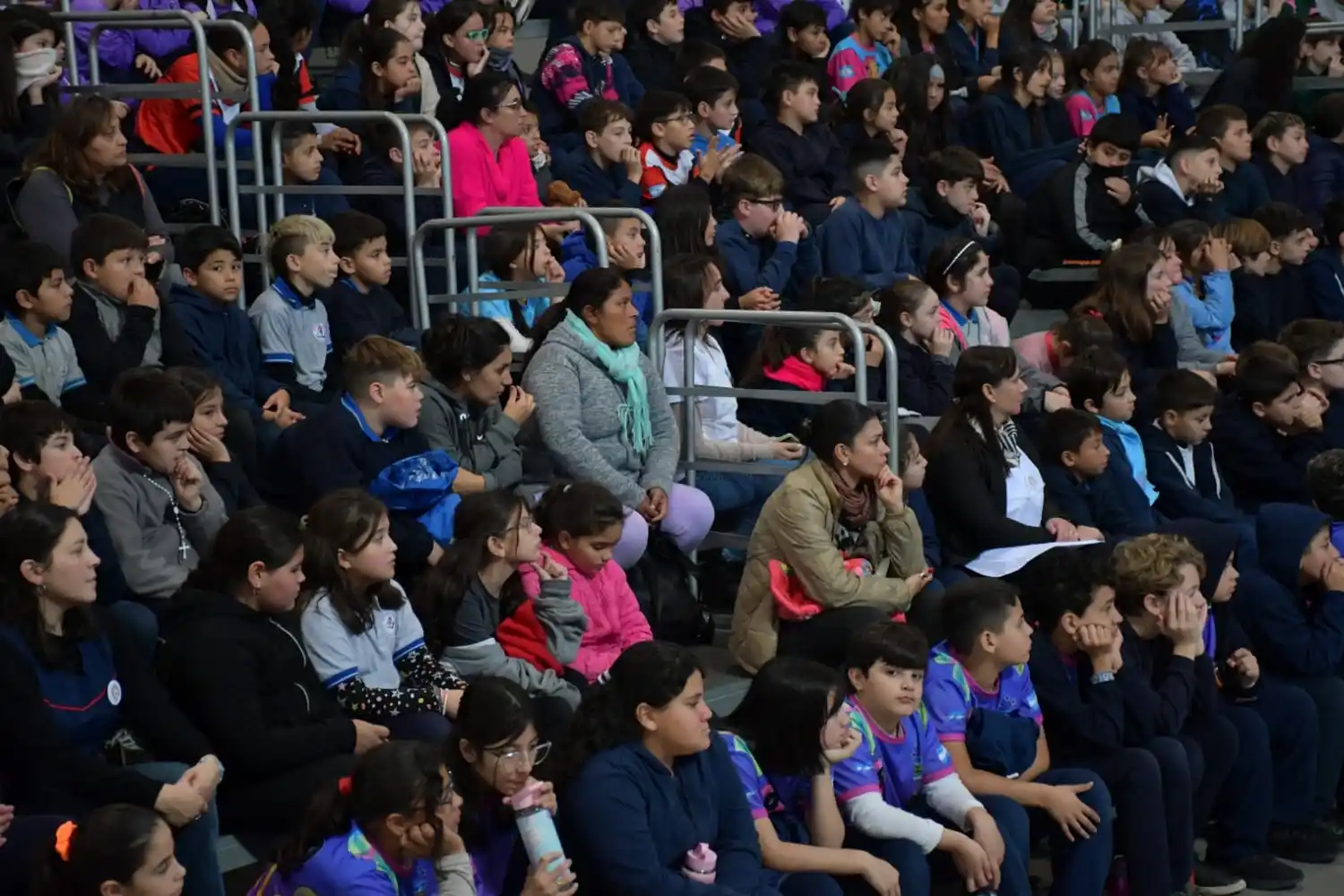 Seguridad Vial - bernarte