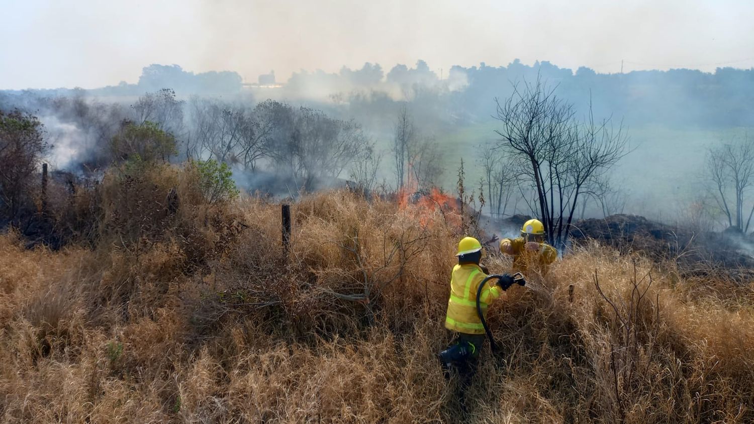 Los incendios de pastizales proliferan y tienen a los bomberos en alerta permanente en Reconquista