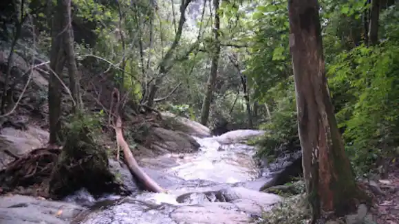 ¡VISITANTES Y SENDERISTAS! Tras muerte de ingeniero chino, RESTRINGEN ACTIVIDADES Y ALGUNOS ACCESOS EN EL ÁVILA