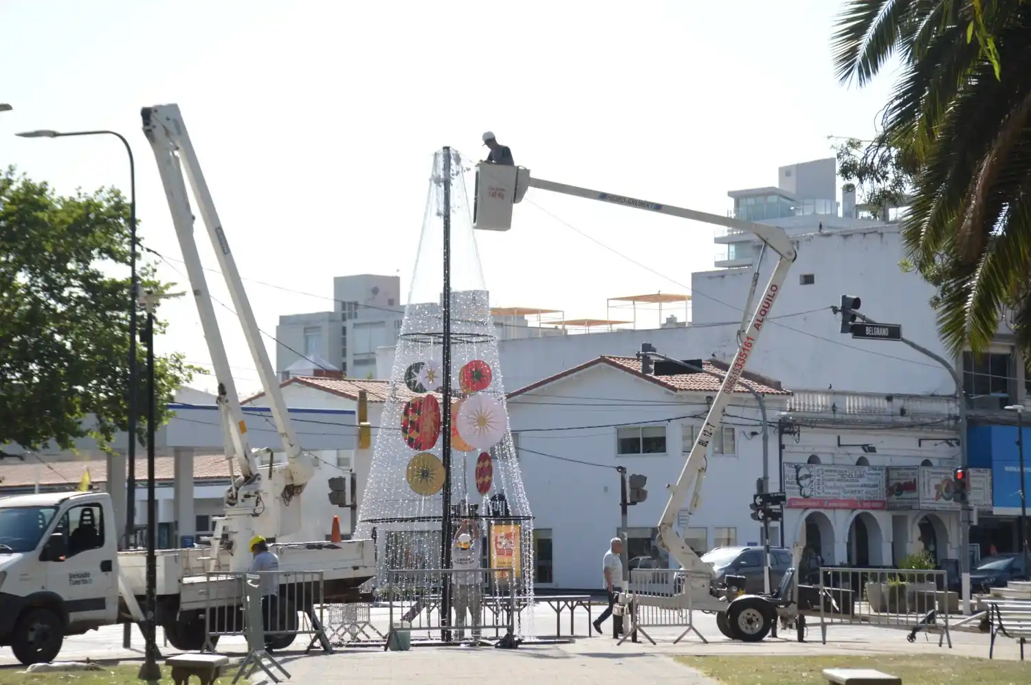 Todo listo para el encendido del arbolito navideño.
