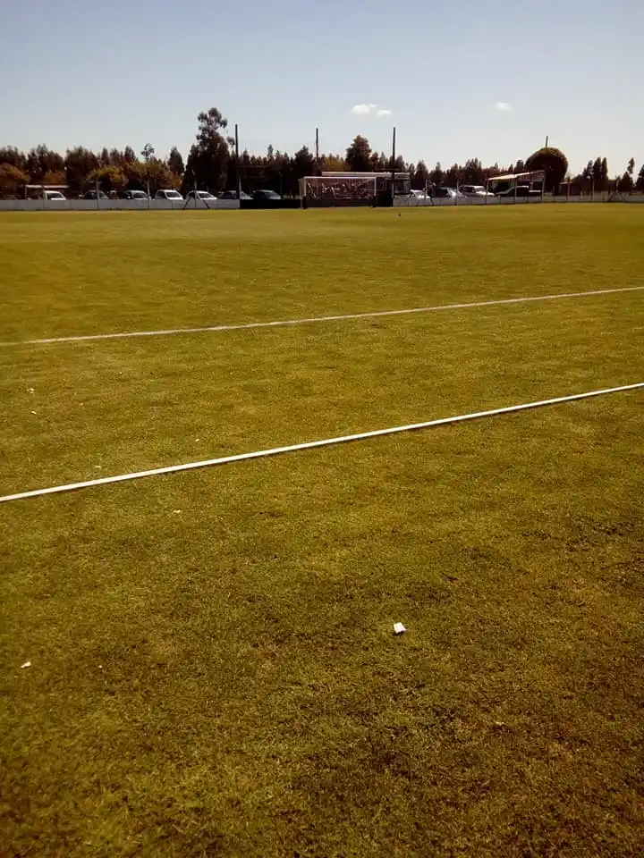 Árbitros de la Liga Necochea sufrieron un accidente de tránsito
