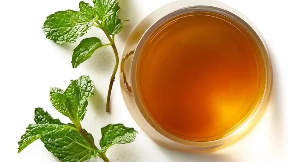 Té de menta: ¿Para qué sirve?