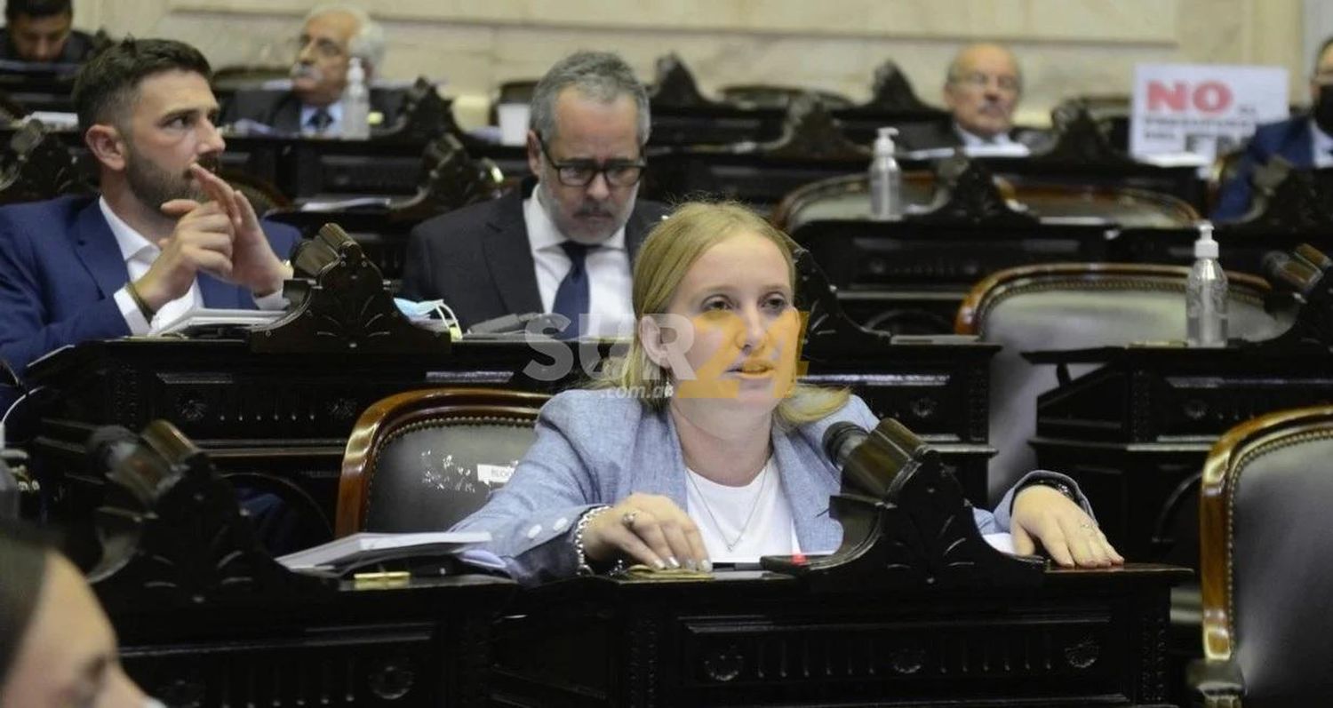 Diputados: Juntos por el Cambio pidió informes al Gobierno nacional por el recorte en Educación