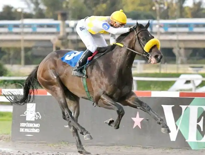 El Martínez de Hoz, en una jornada imperdible