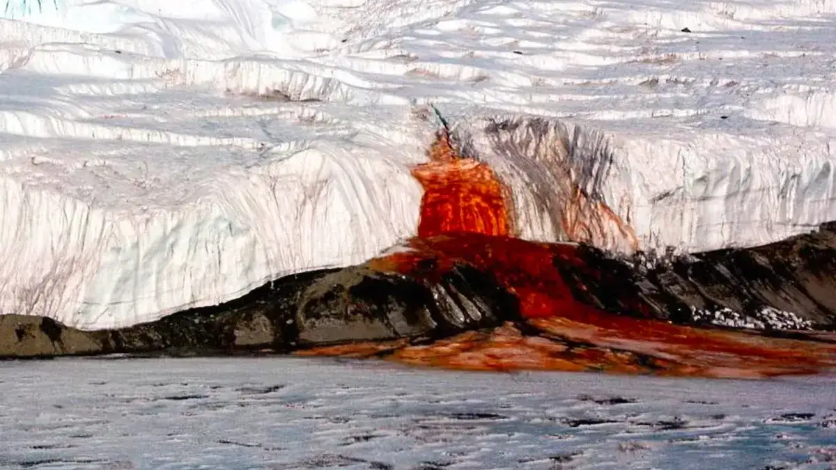 Los Valles Secos de McMurdo son considerados uno de los entornos más áridos e inhóspitos de la Tierra