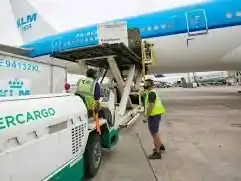 Avanza la privatización de Intercargo: el Gobierno licitará el 100% del paquete accionario