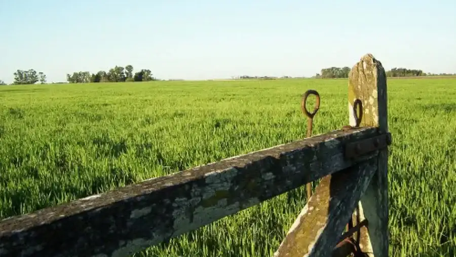 La Corte Suprema revocó el fallo que frenaba la derogación de la Ley de Tierras