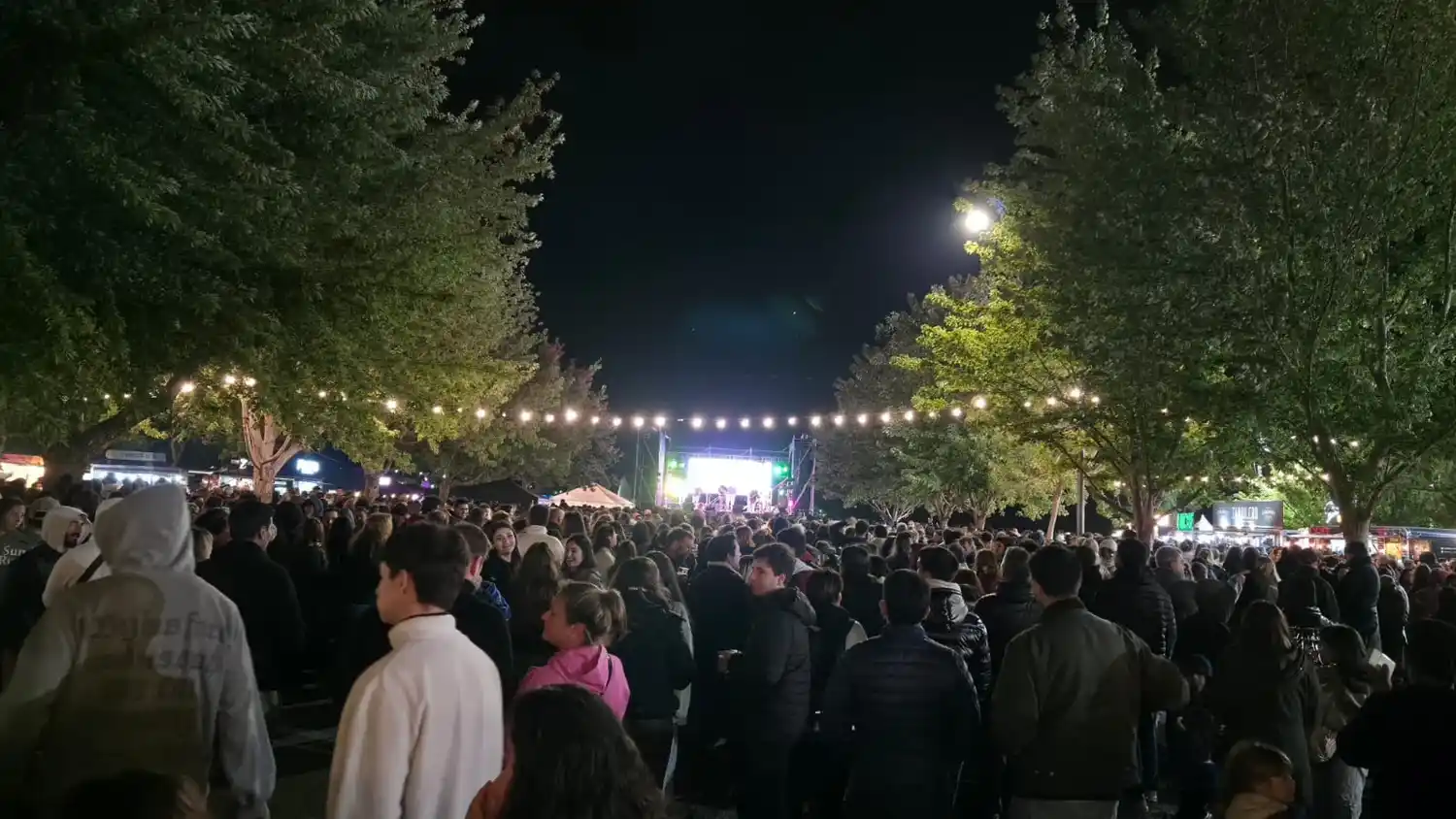 festival del lago - 2