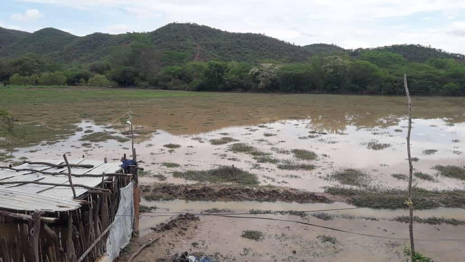 EN EMERGENCIA: lluvias causan ESTRAGOS en Lara por la crecida del río Tocuyo