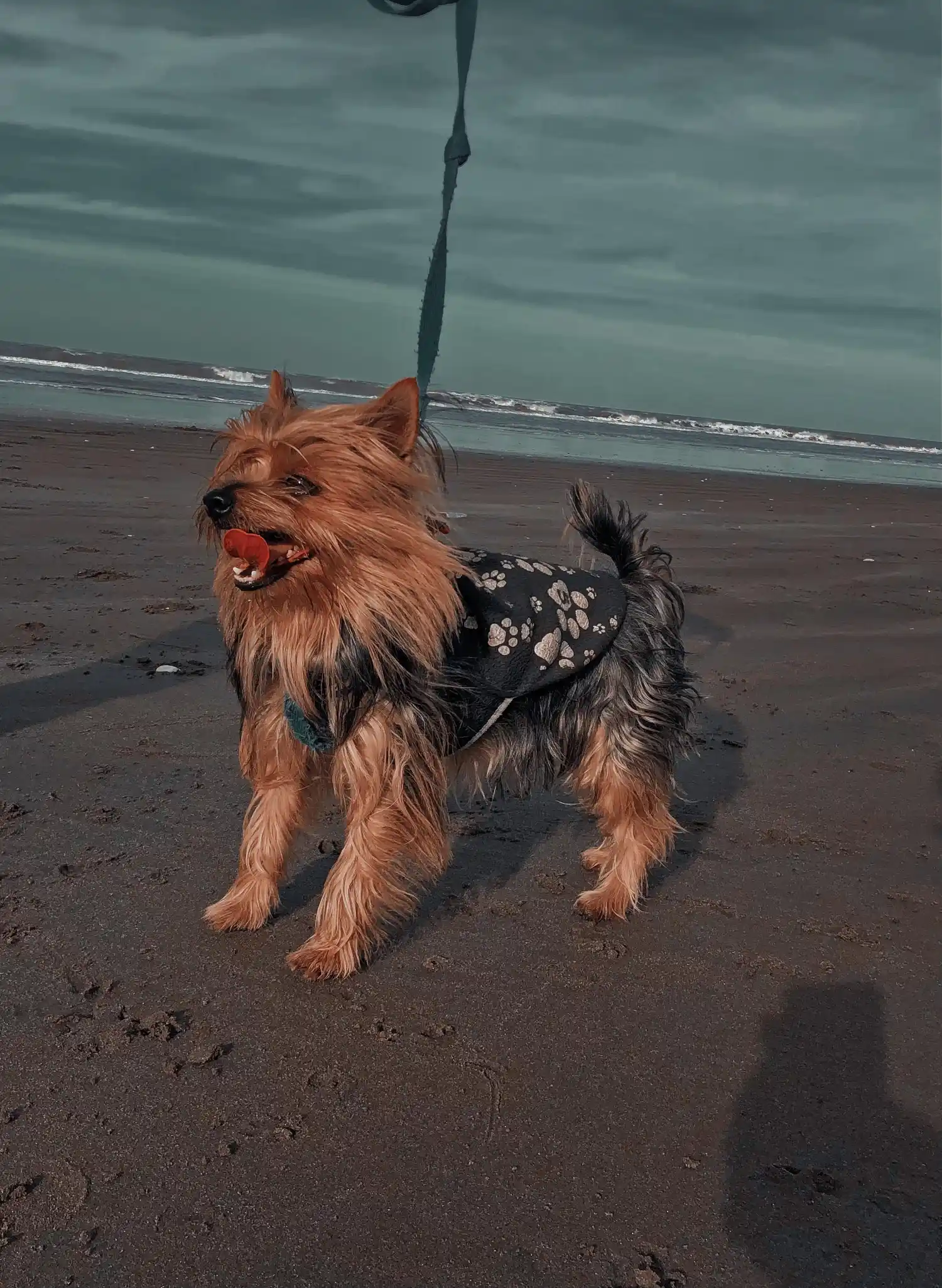 El quirófano continúa recorriendo los barrios de la ciudad.
