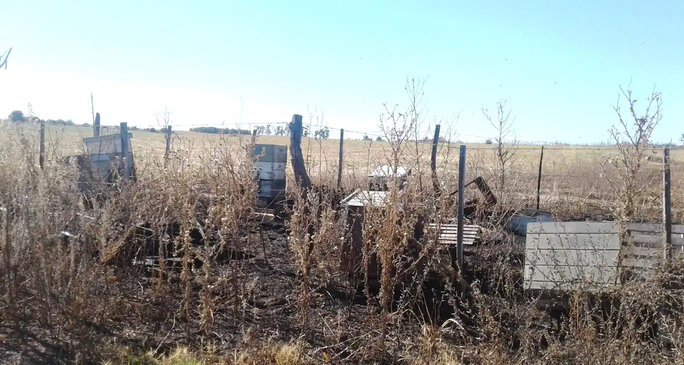 Importantes daños tras incendió en campo experimental de la escuela Técnica