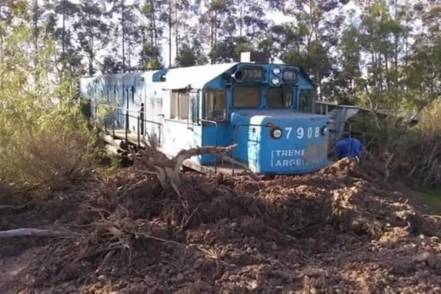 Un tren descarrilo producto de unos animales sueltos