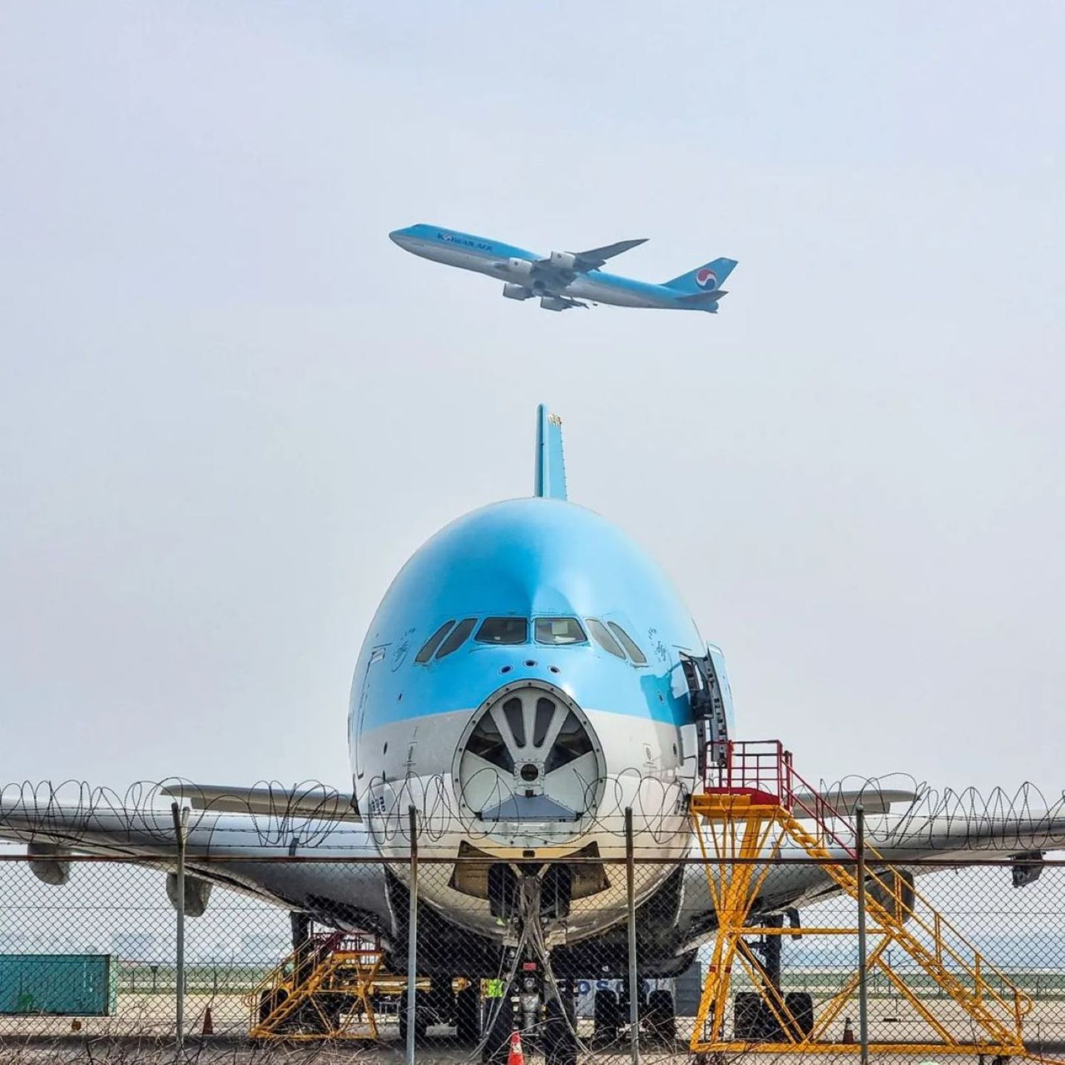 El ocaso del gigante: Korean Air desmantela otro Airbus A380