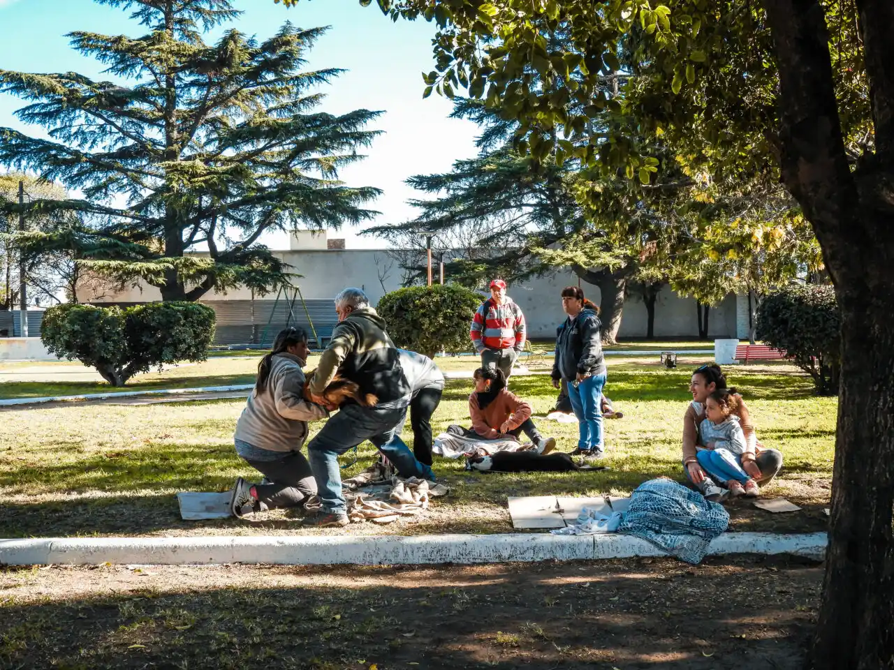 Teodelina: se concretó una nueva jornada de castración masiva