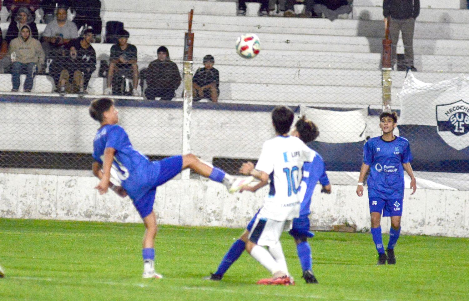 Sub 15 Necochea