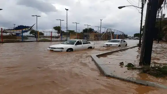 ¡LLUVIAS EN LA GUAIRA ESTE #2Nov! MATA DE MANGO cae sobre dos vehículos y una clínica