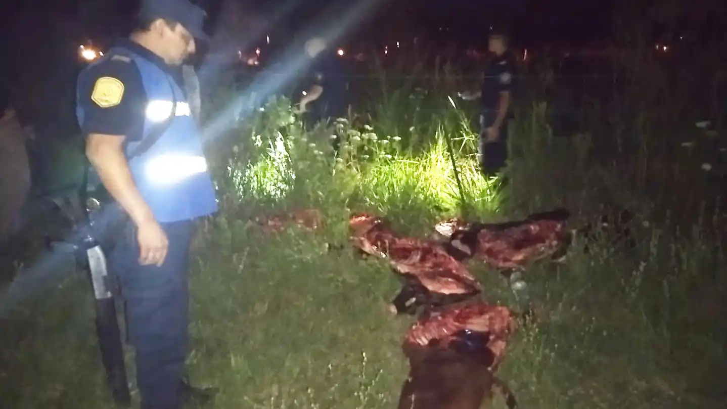 Desarticularon una banda dedicada al abigeato tras un amplio operativo en una zona rural de Concordia